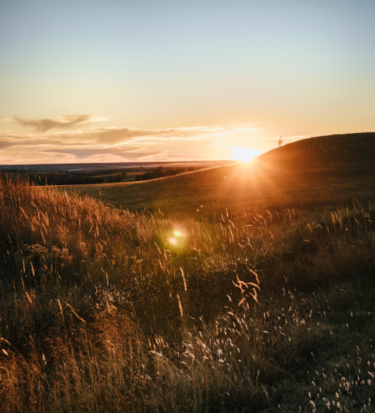 Billede til baggrund